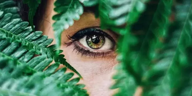 visión y ejercicios para restaurarla